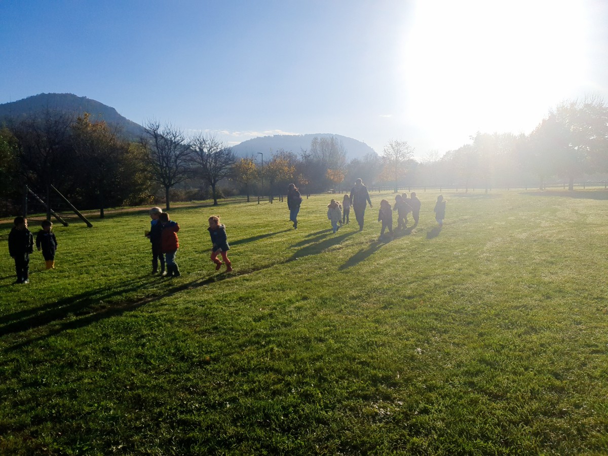 Petits bonheurs de la nature