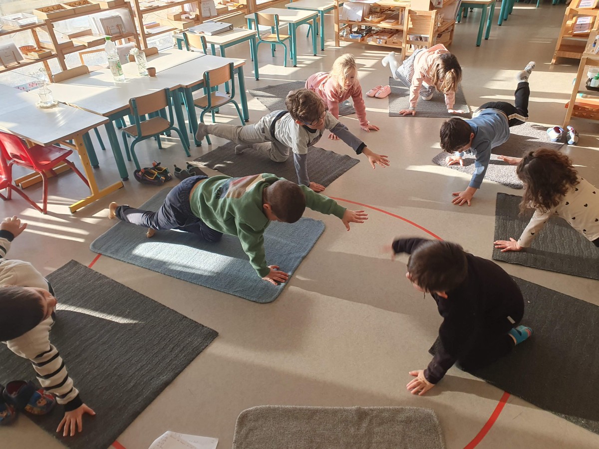 Les yogis visitent la ferme