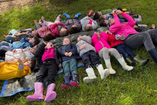 Nos 5 sens en éveil