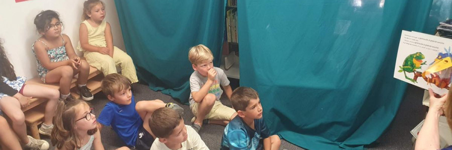 Sortie à la bibliothèque primaire 2025