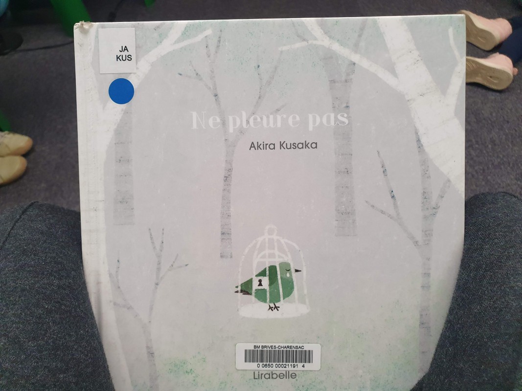 Sortie à la médiathèque : découverte de la littérature japonaise