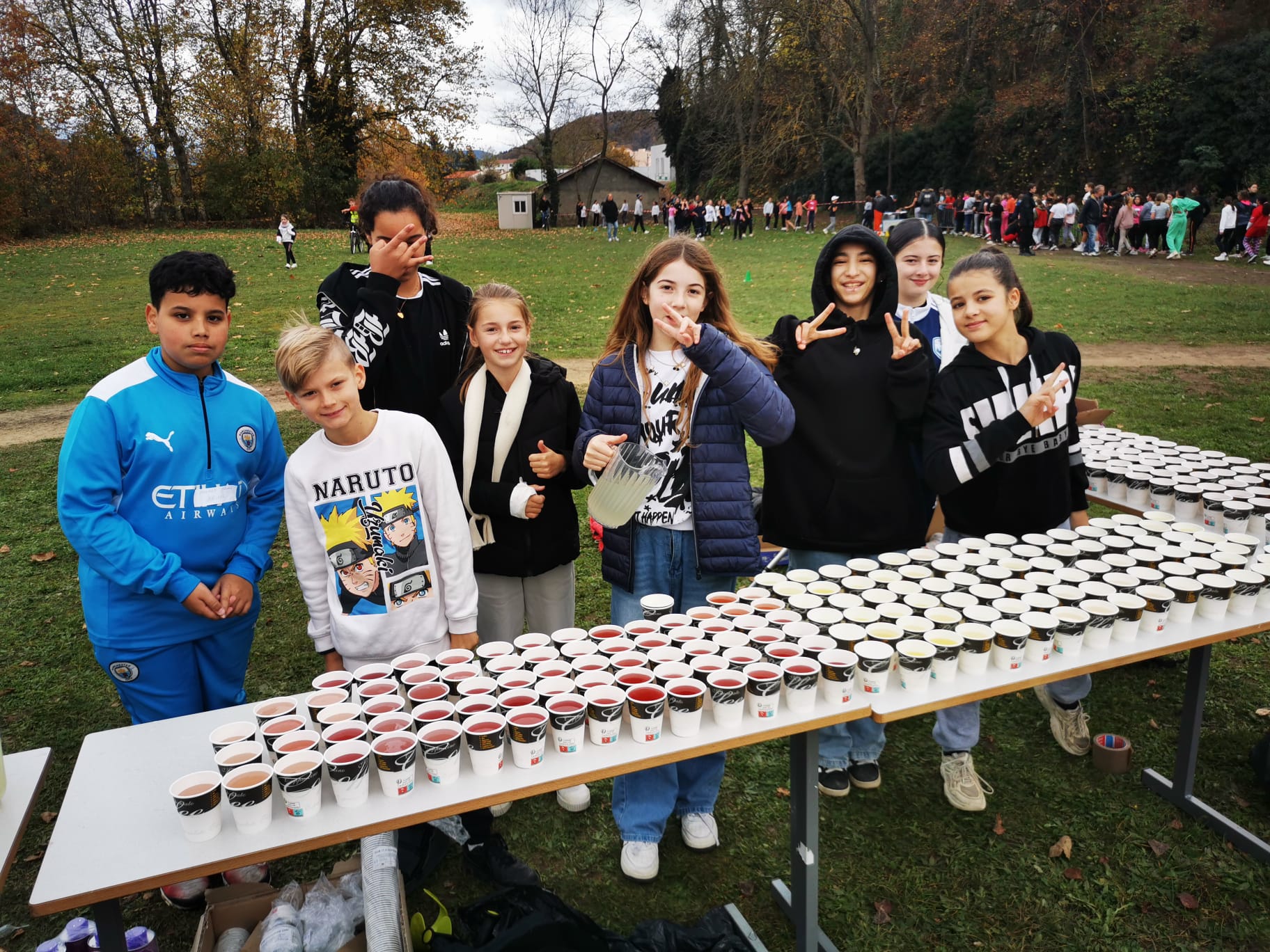 projet pédagogique carrousel 3