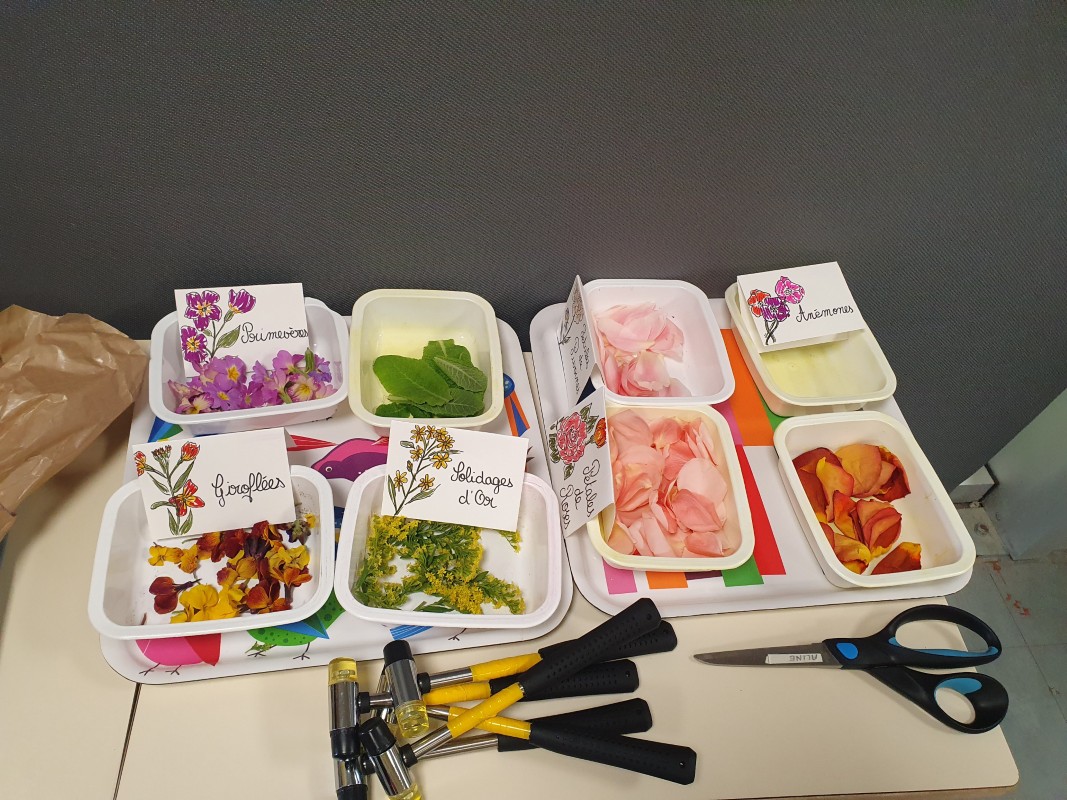 projet pédagogique carrousel 4