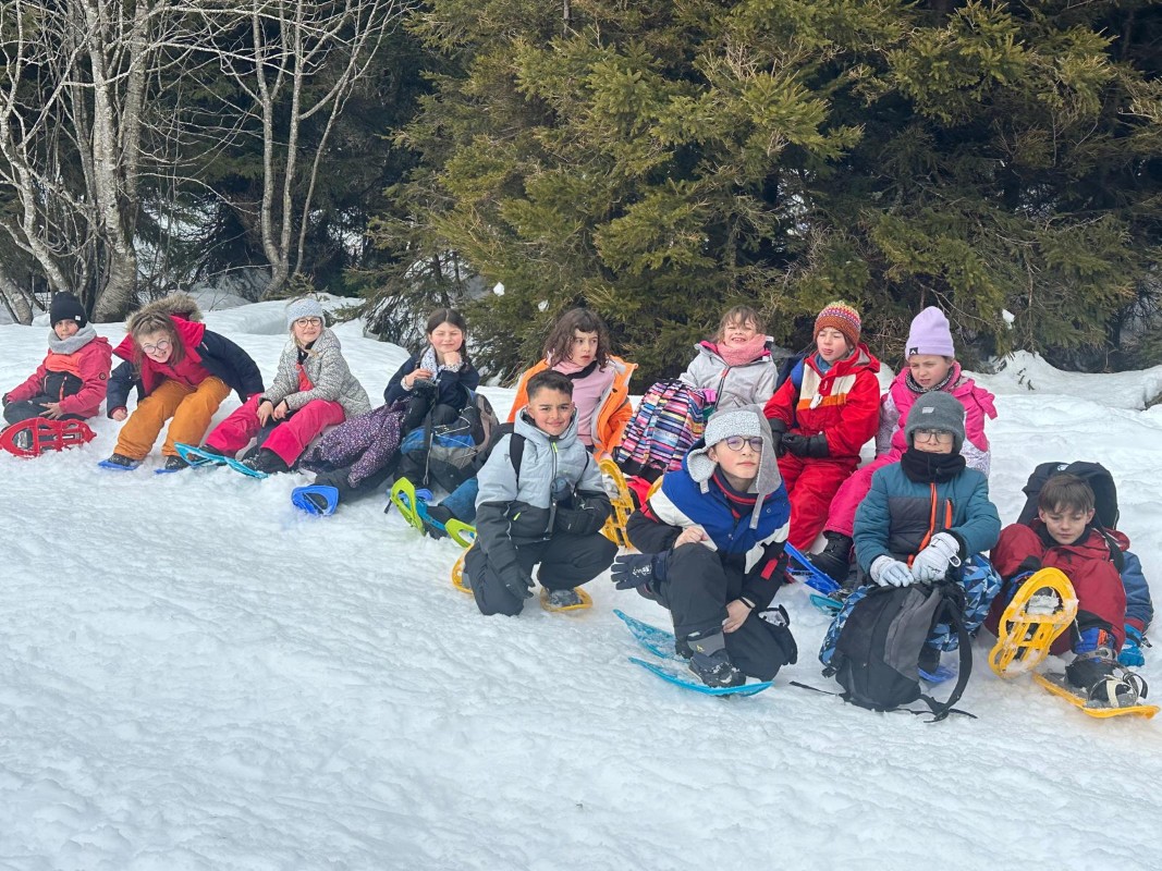projet pédagogique carrousel 6