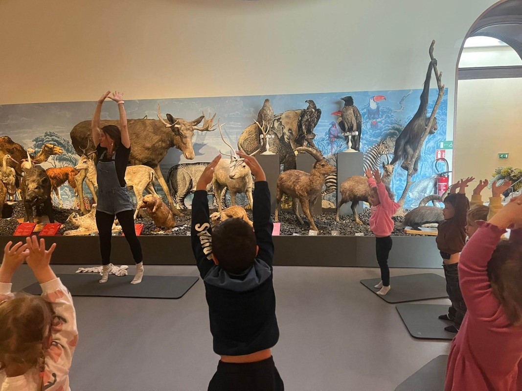 projet pédagogique carrousel 5